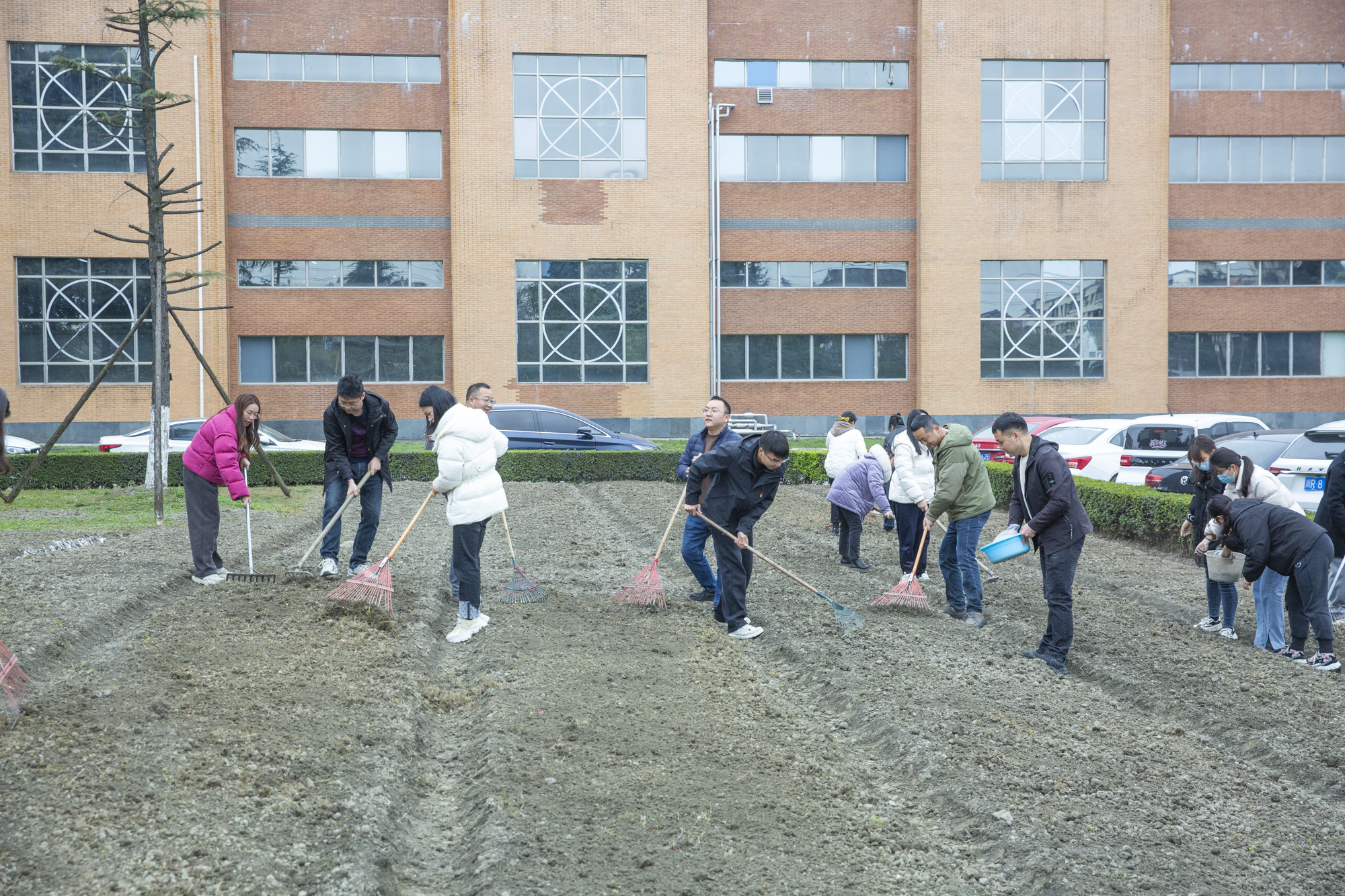 植树节 | 星空在线登录官网开展“植此青绿，拥抱春天”植树节活动